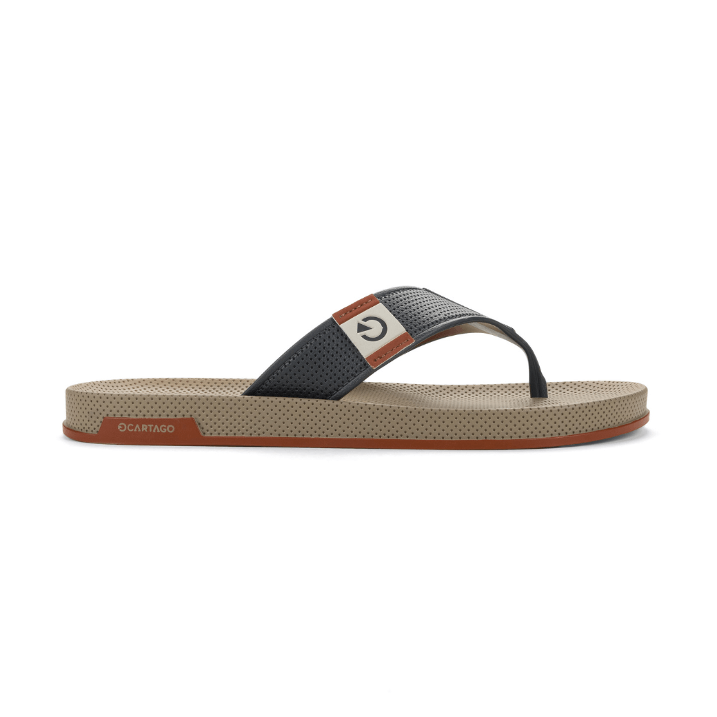 Grendene Chinelo CARTAGO SIENA 12398-BD698 Bege Cinza  Telha -1-
